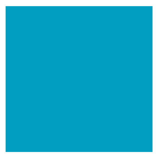 Coton Gratté 611 Turquoise