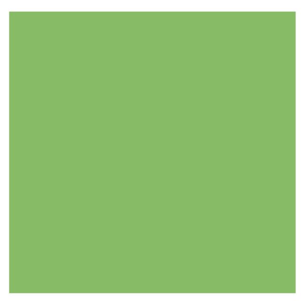 Expostyl Pistachio ST9661